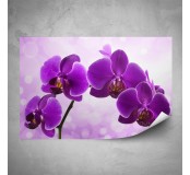 Barva do vosků, gelů a mýdel, fialová orchidej, 2 g