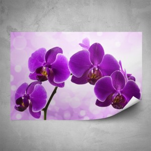 Barva do vosků, gelů a mýdel, fialová orchidej, 2 g